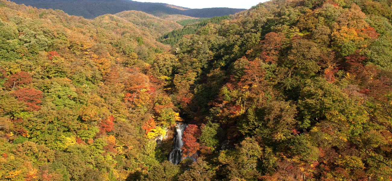 霧降の滝